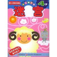 迷宫（4岁）——新头脑开发丛书