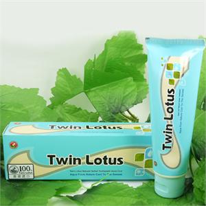 双莲 天然植物冰泉固齿牙膏100g