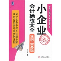 小企业会计操练大全（准则+实务版）（会计实务，手把手详细讲解 准则应用，图示和举例分析）