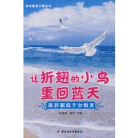 让折翅的小鸟重回蓝天离异家庭子女教育—家长素养工程丛书