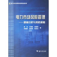 电力市场风险管理：建模分析与预防策略
