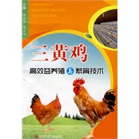 三黄鸡高效养殖与繁育技术