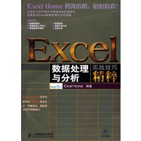 Excel数据处理与分析实战技巧精粹（附光盘）