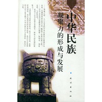 中华民族凝聚力的形成与发展