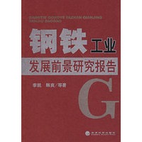 钢铁工业发展前景研究报告