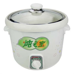 【当当自营】 TONZE天际 电炖锅 DDG-40B