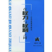 在权力与权利之间：公共政策学新论