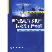 煤的热电气多联产技术及工程实例——实用热能工程技术丛书