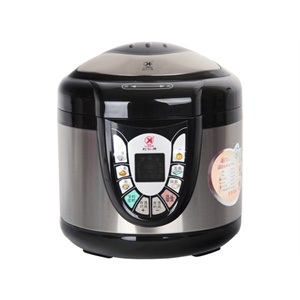 利仁（LIVEN）DNG-500电压力锅