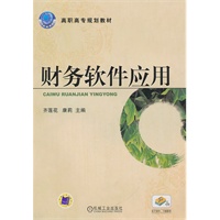 财务软件应用
