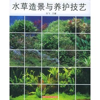 水草造景与养护技艺