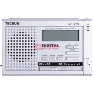 德生（Tecsun）DR-910复读/收录机（银灰色）