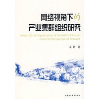 网络视角下的产业集群组织研究