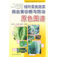 绿叶菜类蔬菜病虫害诊断与防治原色图谱——蔬菜病虫图谱诊断与防治丛书