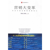 营销大变革：开创中国战略营销新范式