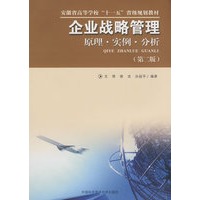 省“十一五”　企业战略管理－原理实例分析(第二版)