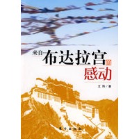 来自布达拉宫的感动