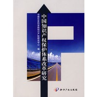 中国知识产权保护体系改革研究