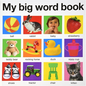 My Big Word Book我的英语单词书(大开本卡板
