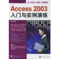 Access　2003入门与实例演练（附CD-ROM光盘一张）