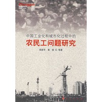 中国工业化和城市化过程中的农民工问题研究