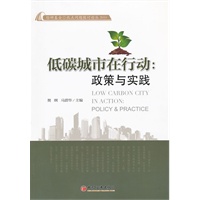低碳城市在行动：政策与实践