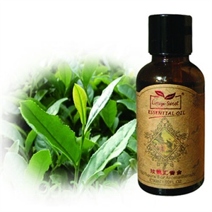 玫瑰汇香舍茶树精油10ml(澳洲,单方精油,女人我最大,战“痘”之王,杀菌超强)