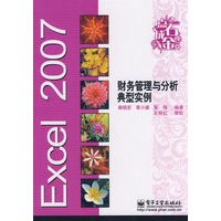 Excel 2007 财务管理与分析典型实例