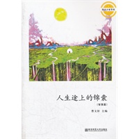 人生途上的锦囊（阳光少年书系）
