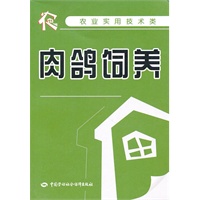 肉鸽饲养