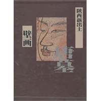 陕西新出土唐墓壁画