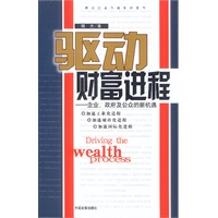 驱动财富进程--企业政府及公众的新机遇