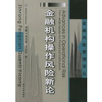 金融机构操作风险新论——金融风险管理译丛