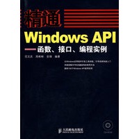 精通Windows API——函数、接口、编程实例（附光盘）