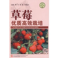 草莓优质高效栽培—社会主义新农村建设文库