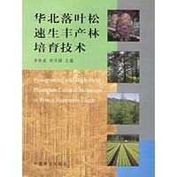 华北落叶松速生丰产林培育技术
