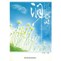 拭去心灵的泪－心理创伤咨询治疗手记（万千心理）