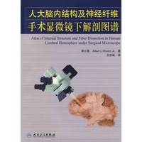 人大脑内神经纤维手术显微镜下解剖图谱