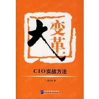 大变革：CIO实战方法