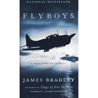 飞行的男孩Flyboys