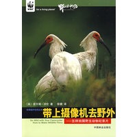 带上摄影机去野外—怎样拍摄野生动物记录片