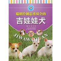 吉娃娃犬