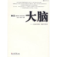 解读大脑——大脑的潜能 保健与营养