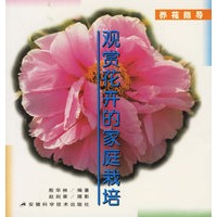观赏花卉的家庭栽培