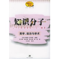 知识分子:美学、政治与学术——知识分子译丛