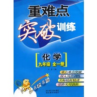 重难点突破训练：化学（九年级 全一册）