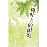 树叶上的阳光