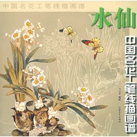 中国名花工笔线描---水仙