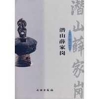 潜山薛家岗