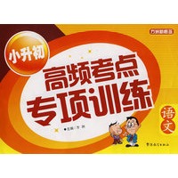 小升初高频考点专项训练——语文